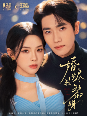 婚烬致黎明（77集）在线看