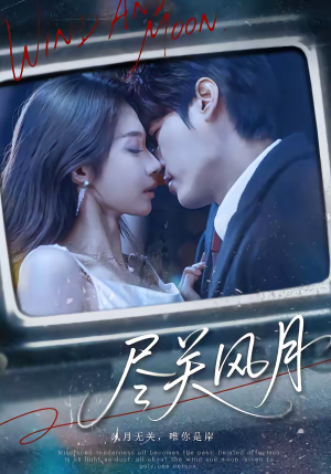尽关风月（67集）百度网盘资源