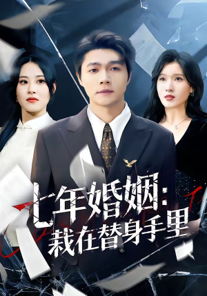 七年婚姻：栽在替身手里（80集）精彩不断免费看