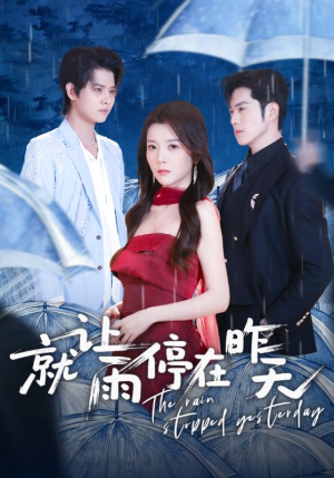 就让雨停在昨天（70集）经典老剧免费看