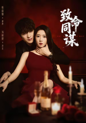 致命同谋（63集）哪个网站可以看