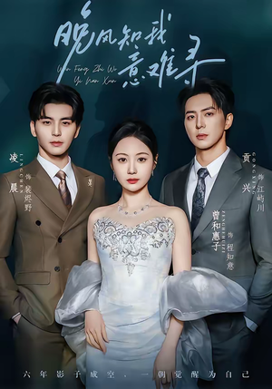 晚风知我意难寻（60集）好看短剧抢先看