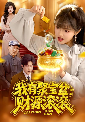 我有聚宝盆：财源滚滚（101集）短剧热播中
