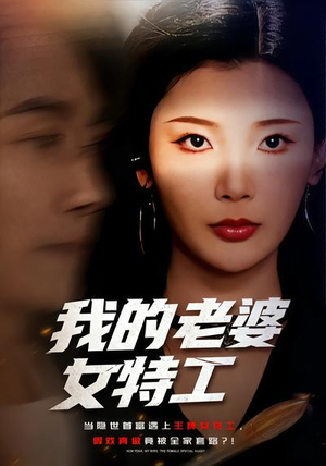 我的老婆女特工（62集）看过的人都说好