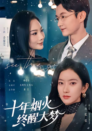 十年烟火，终醒大梦（60集）短剧热播中