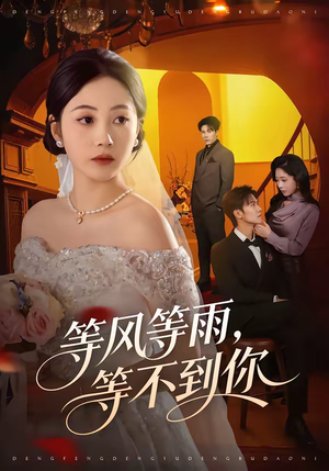 等风等雨，等不到你（65集）热门短剧大全