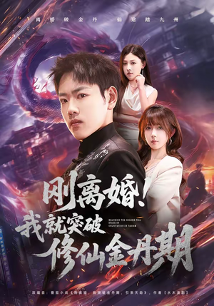 刚离婚！我就突破修仙金丹期（82集）免费观看