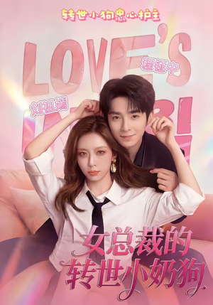 女总裁的转世小奶狗（30集）追短剧关注我