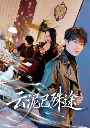 云泥已殊途（72集）热门了短剧