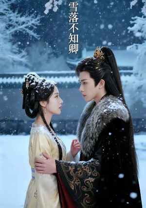 雪落不知卿（62集）常回家看看短剧