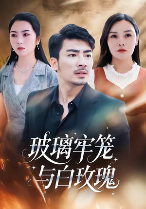 玻璃牢笼与白玫瑰(75集) 玻璃牢笼与白玫瑰(75集)真的太精彩了