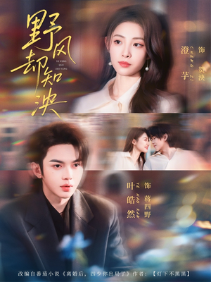 野风却知泱（80集）古代短剧推荐