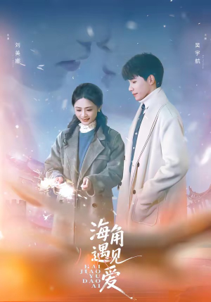 海角遇见爱（40集）全集我都看完了