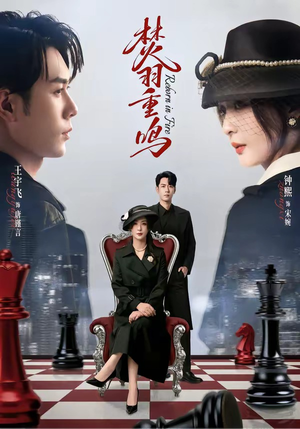 焚羽重鸣（60集）免费观看就是爽