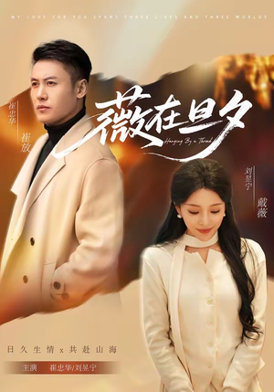 薇在旦夕（80集）在哪个平台看