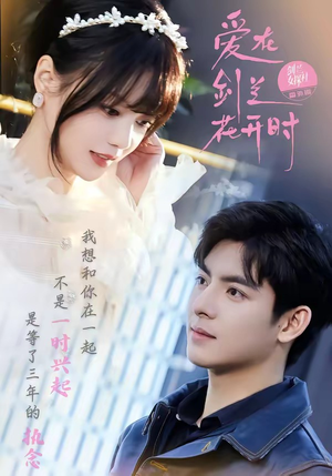 爱在剑兰花开时（56集）深深爱上这部剧