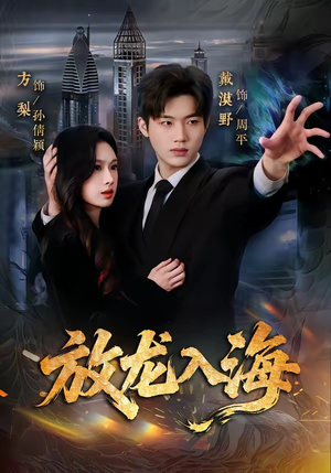 放龙入海（62集）精彩短剧看全集