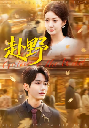 赴野（40集）1-102集