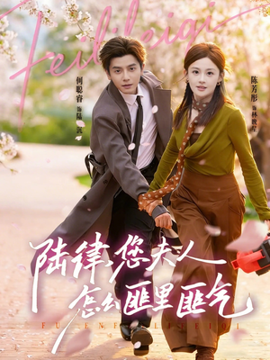 陆律，您夫人怎么匪里匪气（60集）海量资源免费看