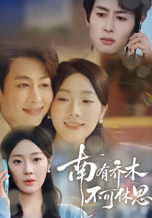南有乔木，不可休思（68集）一个短剧看全集