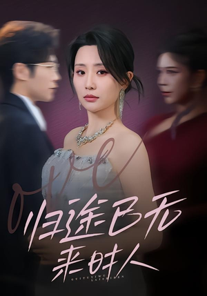 归途已无来时人（70集）精彩短剧看不停