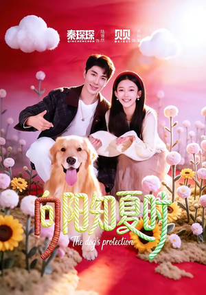 向阳知夏时（80集）最新上映免费看