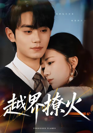 越界撩火（64集）短剧在线看