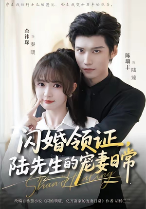 闪婚领证，陆先生的宠妻日常（86集）热门短剧推荐。