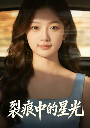 裂痕中的星光（113集）百度网盘资源