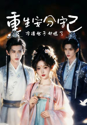 重生安分守己（13集）高分推荐免费看