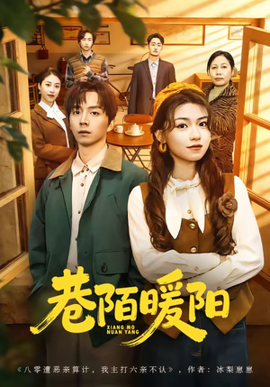 巷陌暖阳（80集）热门短剧免费看