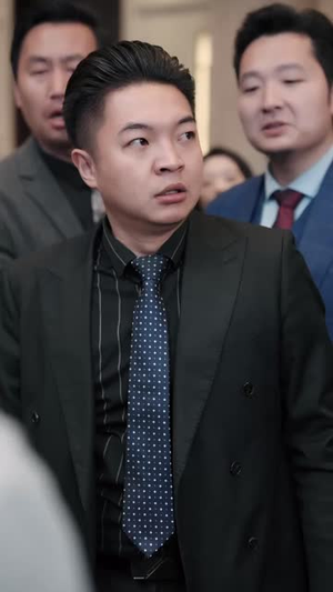 透视神医混花都（80集）直接追到结尾