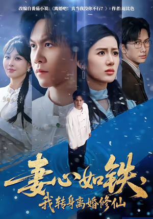 妻心如铁，我转身离婚修仙（81集）1-102集