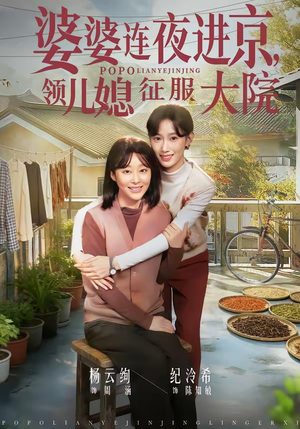 婆婆连夜进京，领儿媳征服大院（78集）免费全集短剧