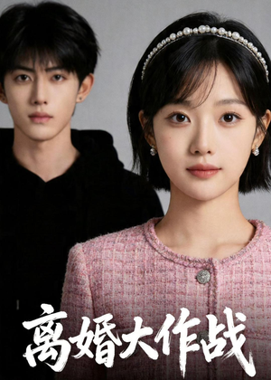 离婚大作战（52集）观看软件