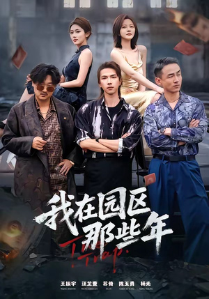 我在园区那些年（61集）第32集