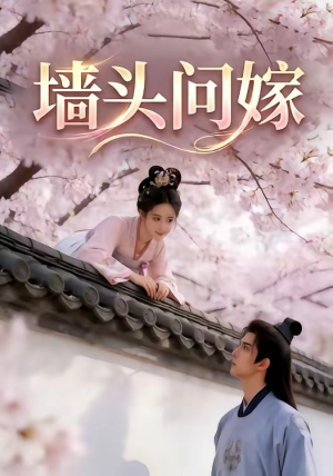 墙头问嫁（29集）热播短剧重燃
