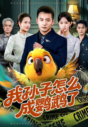 我孙子怎么成鹦鹉了（71集）短剧太好看