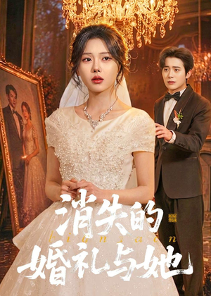 消失的婚礼与她（70集）精彩短剧天天看