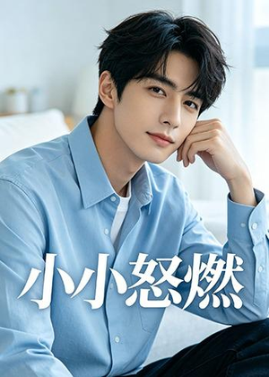 小小怒燃（19集）百度网盘在线看