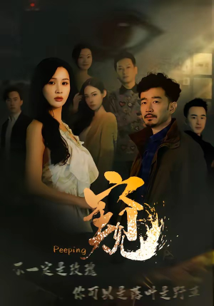 窥伺（37集）全网短剧抢先看