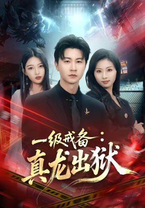 一级戒备：真龙出狱（73集）热播短剧排行榜