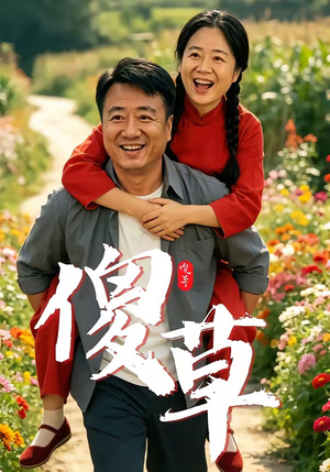 傻草（71集）一共多少集