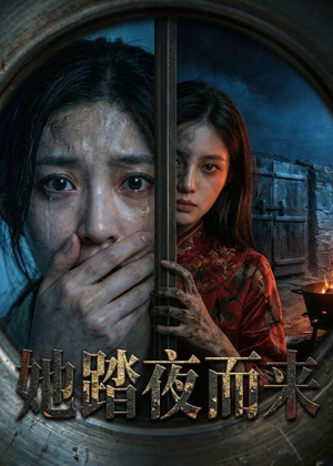 她踏夜而来（40集）好短剧分享