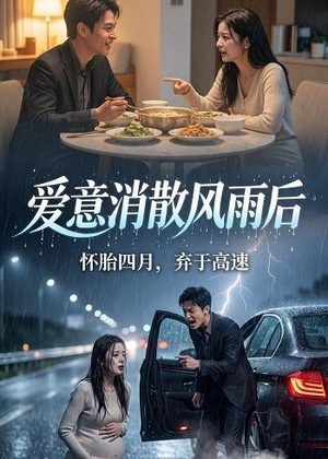 爱意消散风雨后（52集）夸克网盘在线看