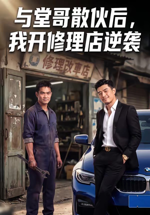 与堂哥散伙后，我开修理店逆袭（40集）超好看的短剧