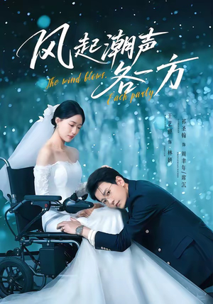 风起潮声各一方（84集）精彩短剧看不停