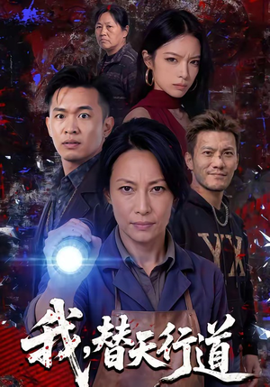 我，替天行道（45集）解说文案