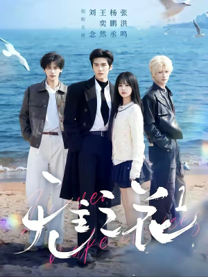 无主之花1（72集）最热门短剧来了