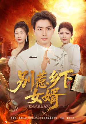 别惹乡下女婿（80集）热播短剧来袭